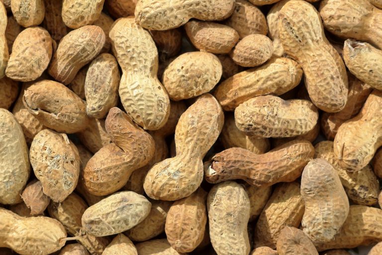 Mengenal 6 Tanda Keracunan Makanan dan Cara Ampuh Mengatasinya